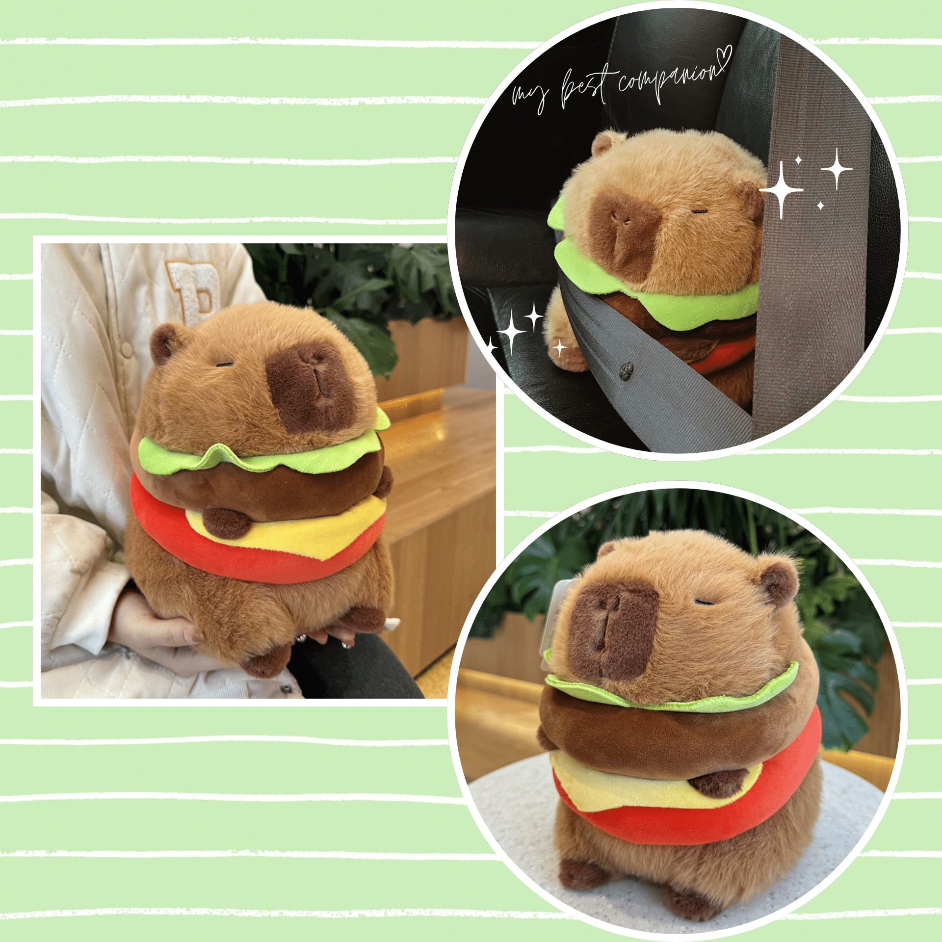 Hamburger Capybara Plush – My Joy Haul