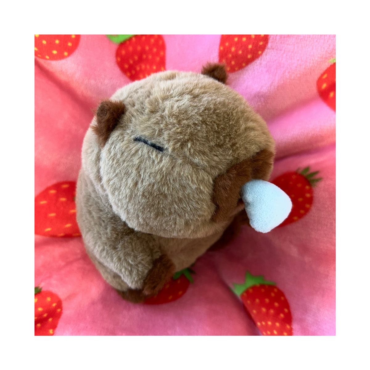 New Snotty Capybara Plush