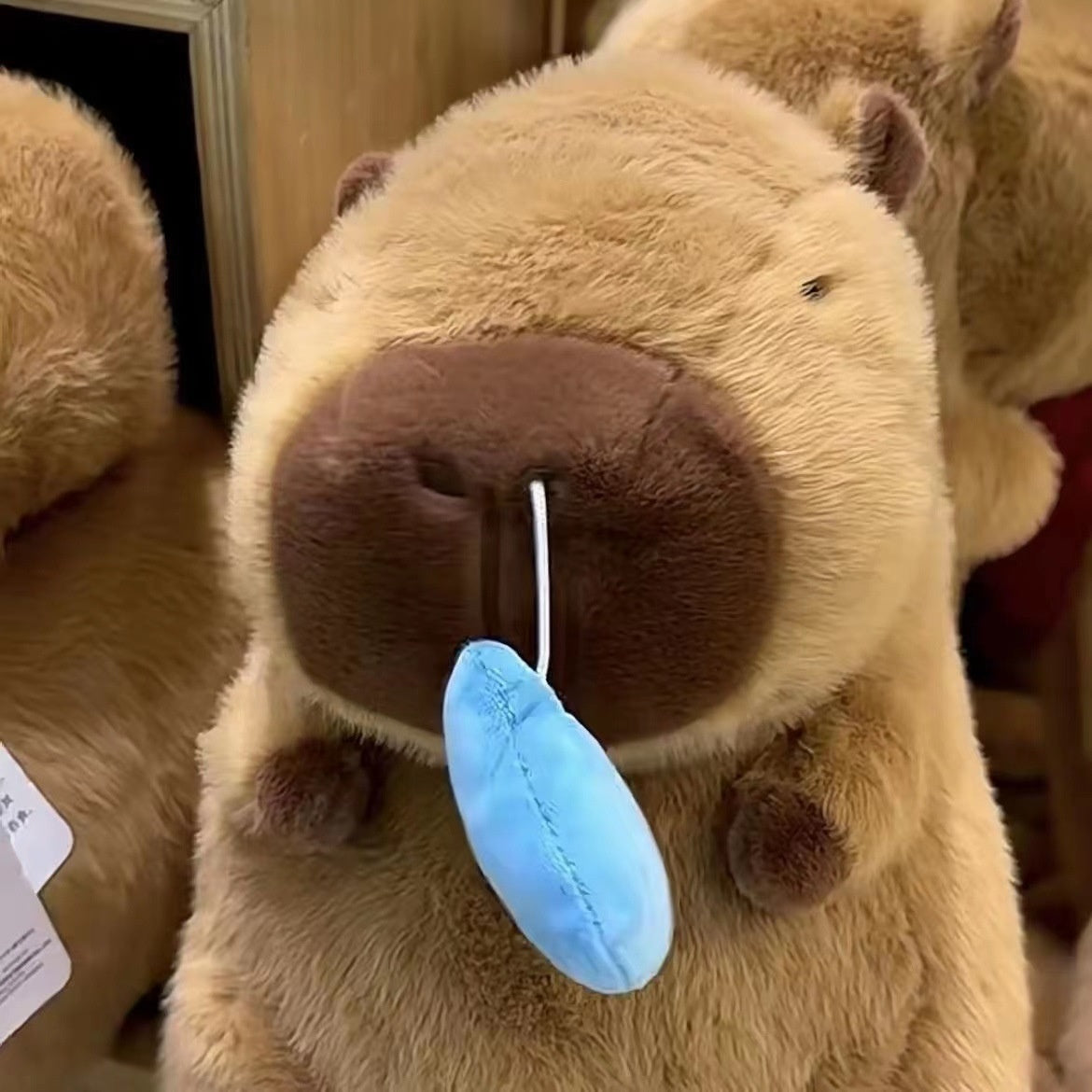 New Snotty Capybara Plush